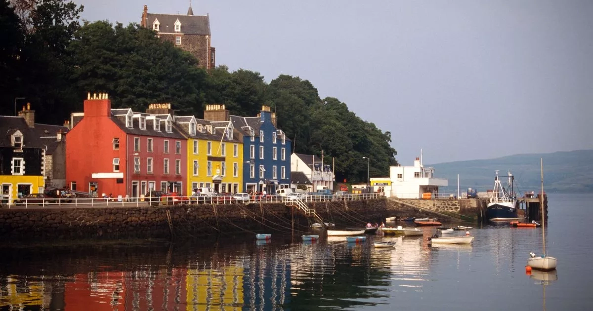 UK's best fish and chip shop with stunning beach views and seals as dining pals