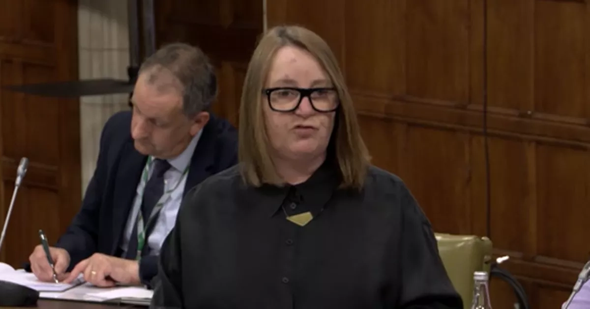 Claims male MSPs paid a prostitute for sex raised by Scots MP in Westminster