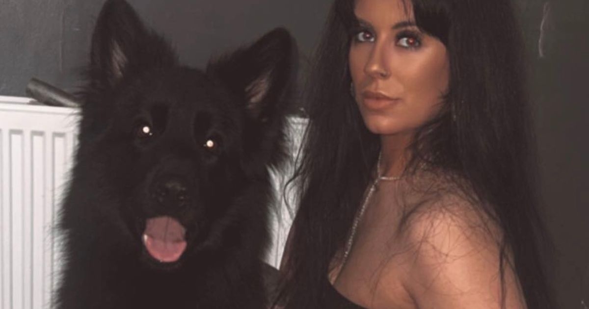 Dodgy K9 fertility worker sprayed dog's blood during illegal veterinary procedure