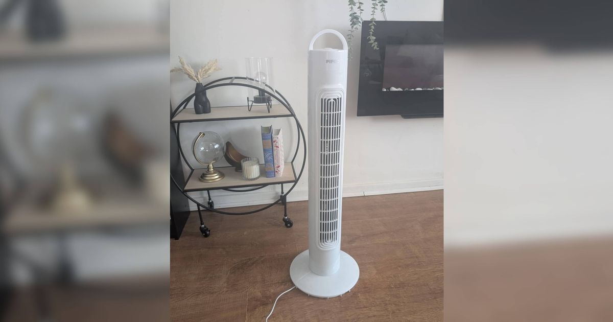 I tried a £20 Home Bargains fan - it's a lifesaver during a heatwave