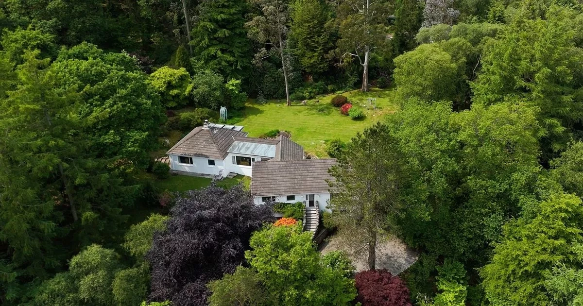 Inside 'exceptional' Scottish woodland residence owned by popular author for sale