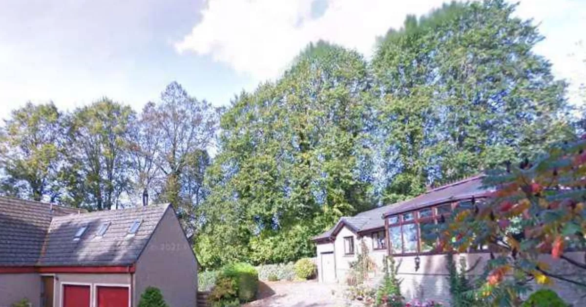 West Lothian lime trees in historic street saved from the chop