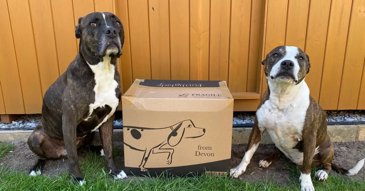 'I made one smart and easy switch to my dogs meals and it saved me over £200 a year'