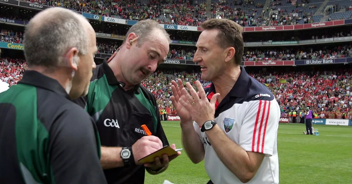 Referee 'not man enough' to admit mistake at time says ex-Louth boss of 2010