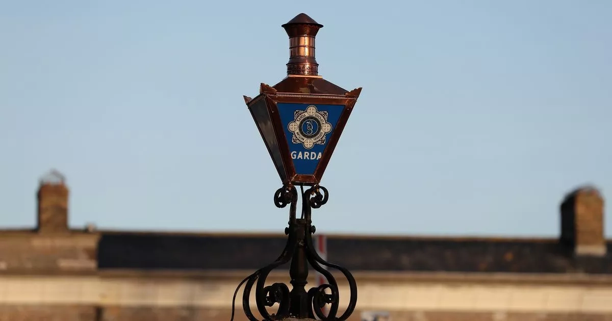 Man arrested after over €100,000 of cannabis plants seized following Louth raid