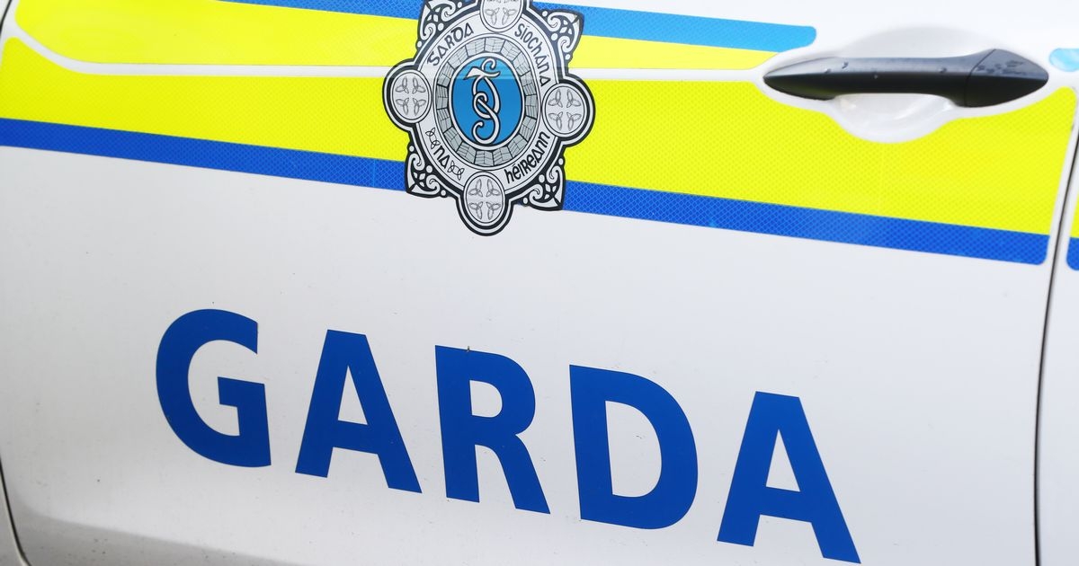 Cannabis worth €2m seized during major garda raid in Dublin