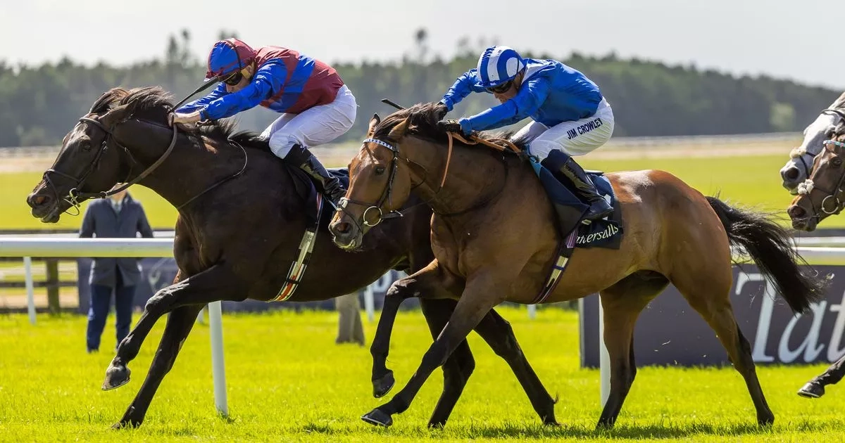 Royal Ascot day 2 full race card and tips - list of runners on Wednesday