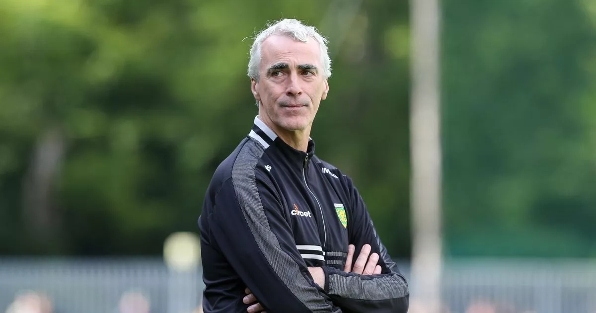 Jim McGuinness hails Donegal star who has been 'a breath of fresh air'