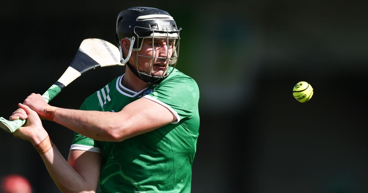 Limerick hurler Gearoid Hegarty's relationship with sports star girlfriend