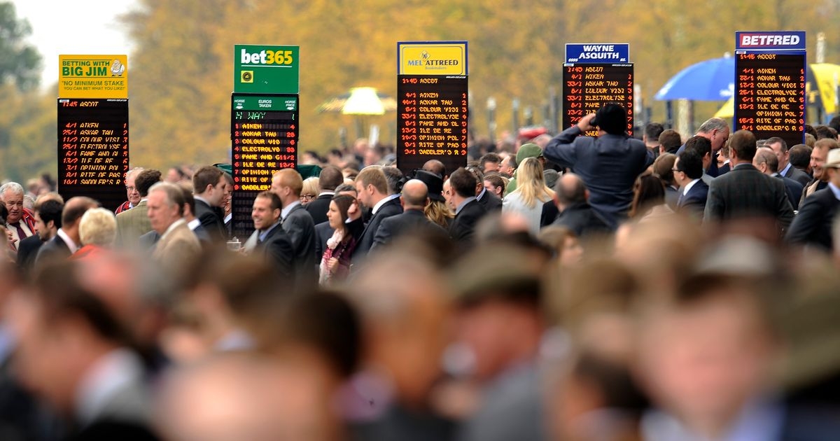Royal Ascot punter tried to put £370k bet on big race favourite Field Of Gold