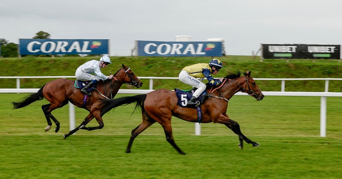 Newsboy's racing tips for Monday's three meetings, including Chepstow Nap