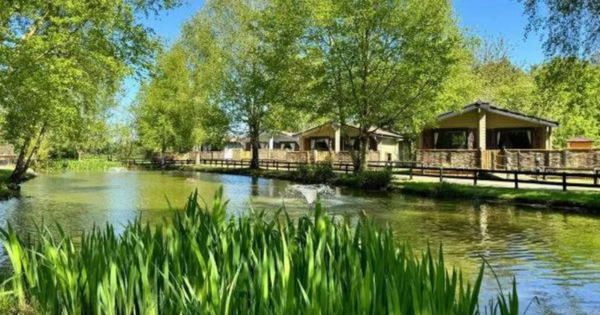 'I stayed in a UK Center Parcs dupe and the location was simply unreal'