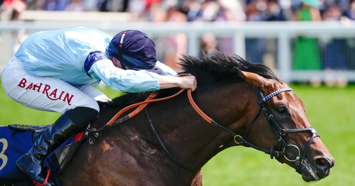 Royal Ascot winner survives late injury scare kept secret from punters