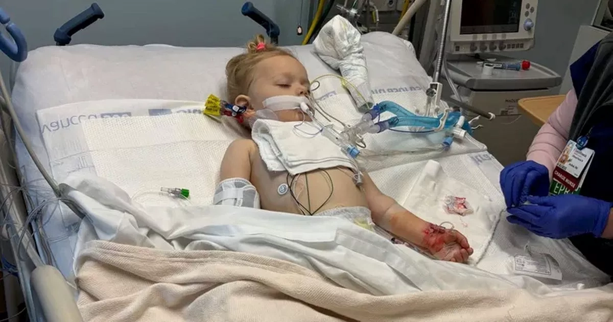 Toddler fighting for life after swim left her infected with deadly bacteria