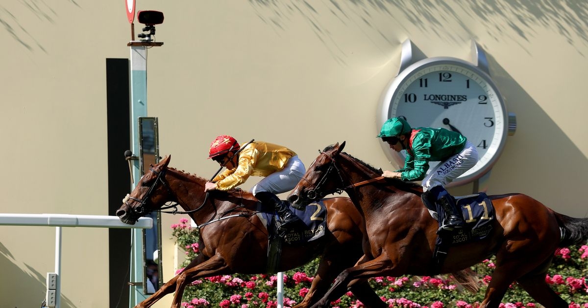 Royal Ascot favourite's defeat ‘brings pain back' for media star turned owner