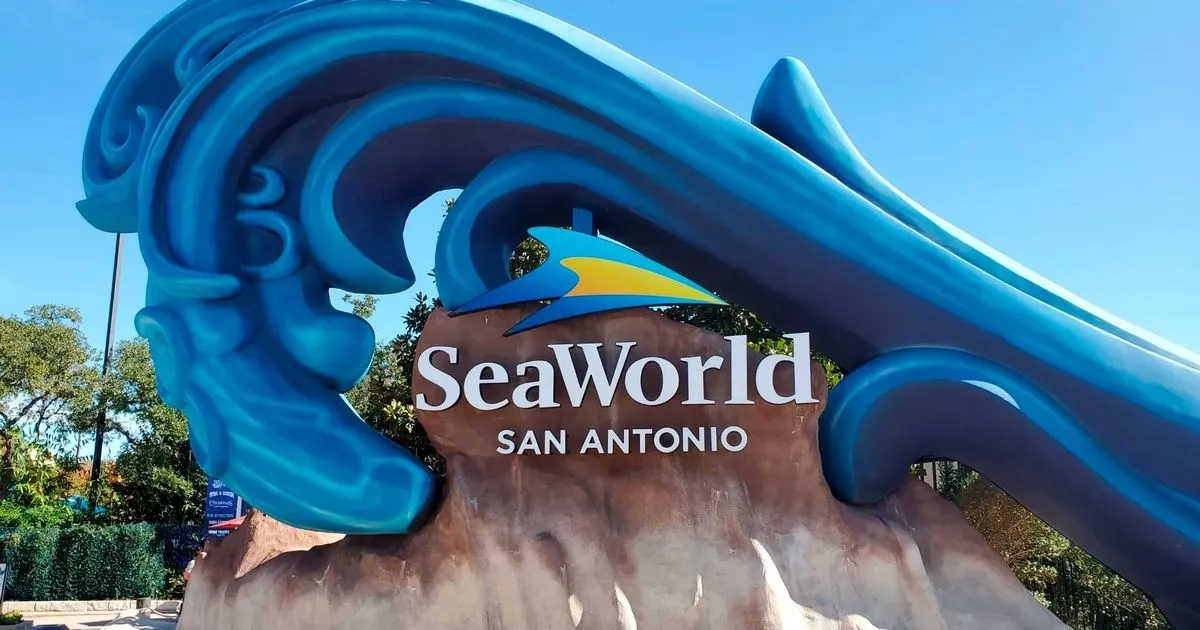 SeaWorld announces death of youngest orca in heartbreaking health update