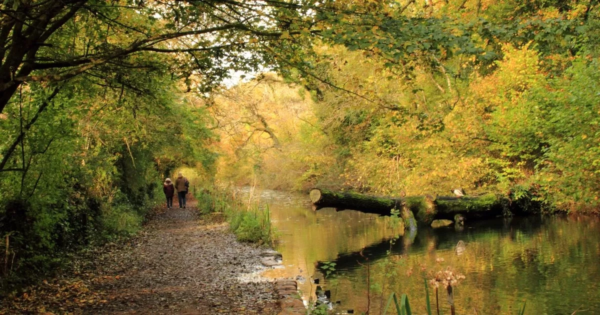 Woodland walk with a fairytale castle and a cafe that nails the perfect toastie