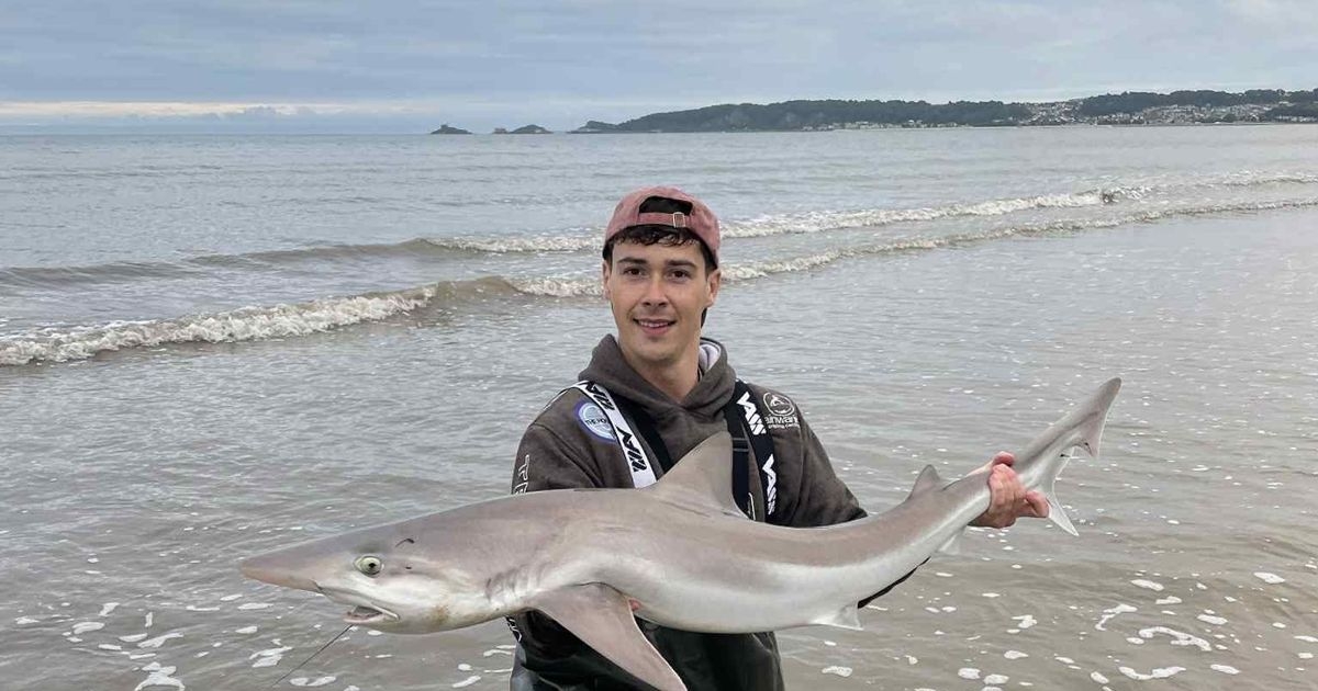 Man catches huge rare shark off Welsh beach