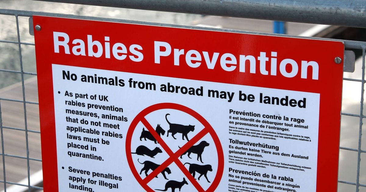 Grandmother who died from rabies after 'slight scratch' named by family