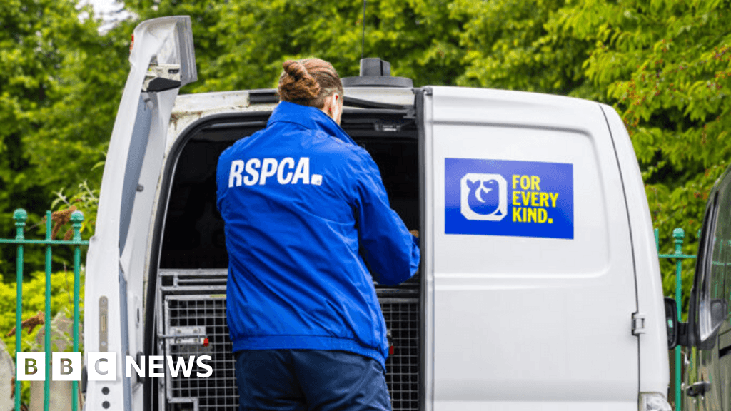 Bristol woman left dogs to starve to death after moving homes