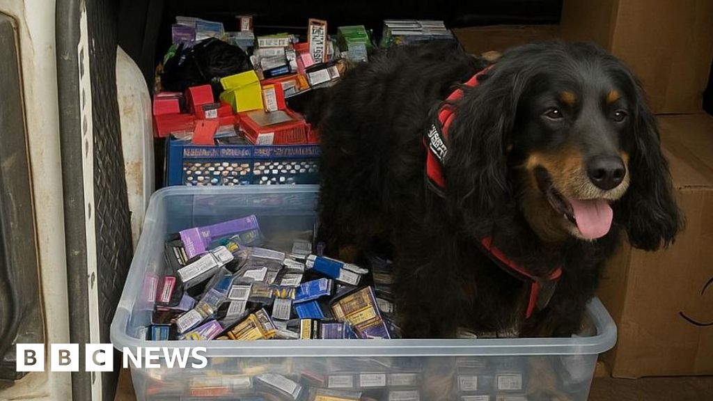 Dog sniffs out illegal vapes and tobacco in Leighton Buzzard