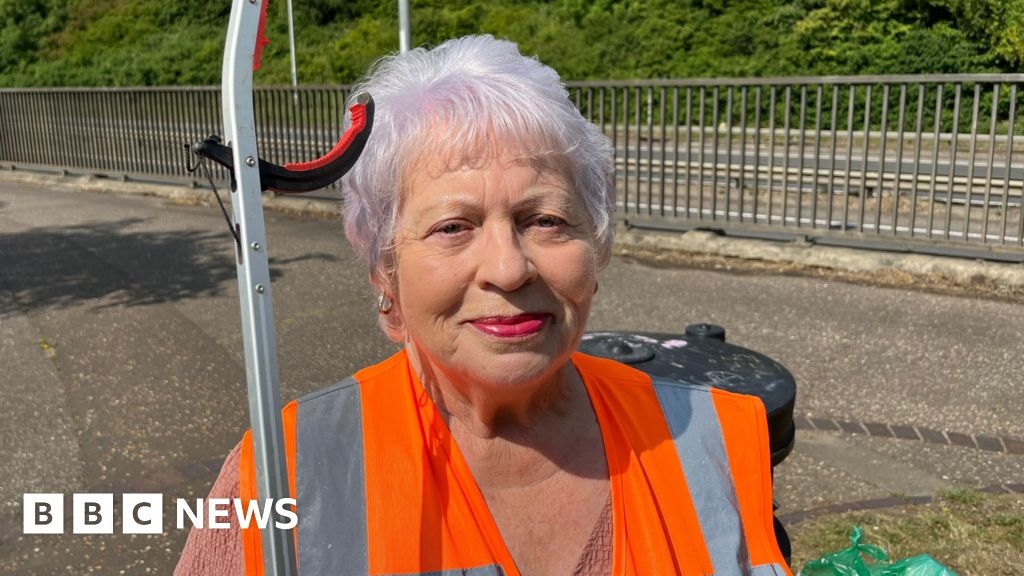 Volunteer record for Peterborough litter picking group