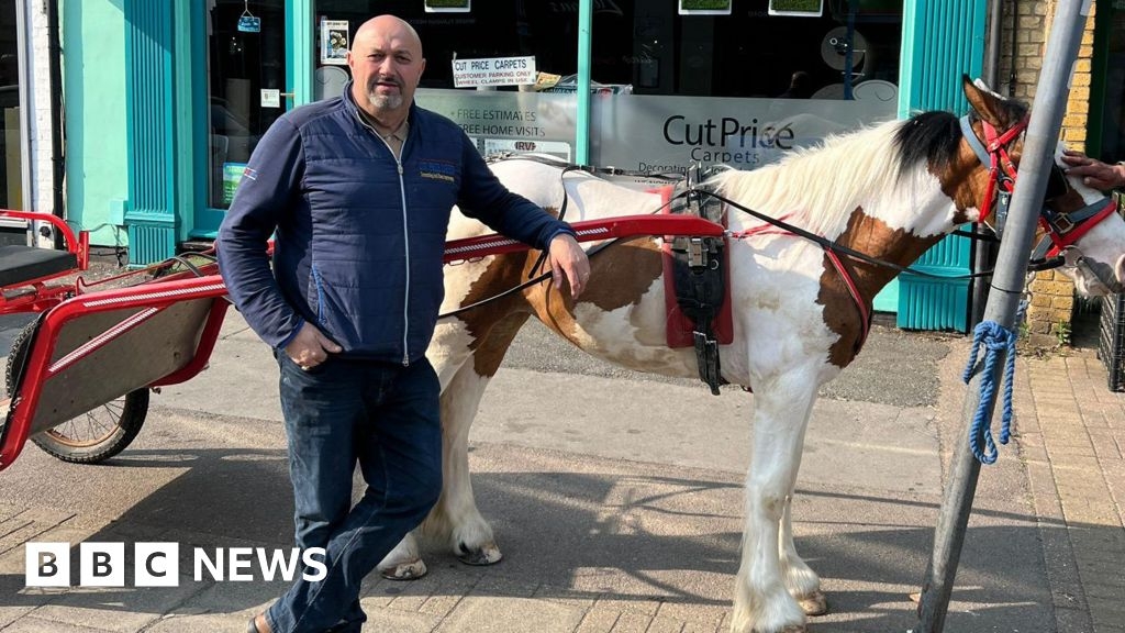 Cambridge trader uses horse and cart to avoid Mill Road fine