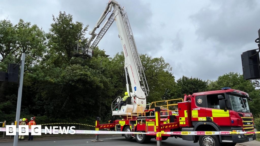 Man gets stuck up tree as he tries to rescue parrot in Thurnby