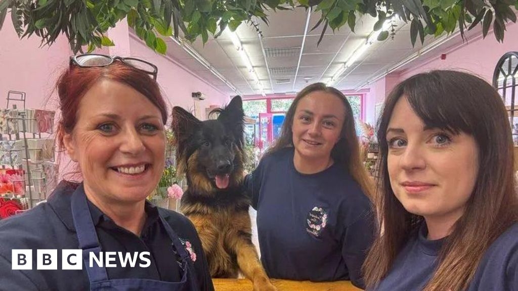 Alfreton florist rises from ashes of devastating fire