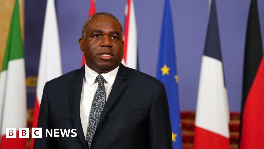 UK preparing to charter flights from Israel, David Lammy says