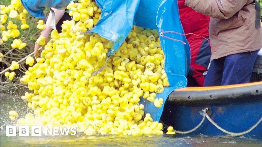 Maidenhead Duck Derby to return for 36th year