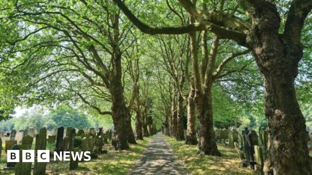 Chorlton cemetery becomes Manchester's latest local nature reserve