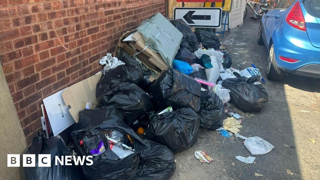 Bin strike during heatwave gives Birmingham locals 'the ick'