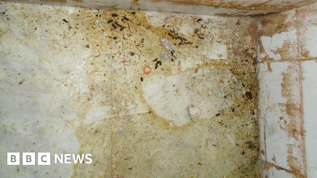 Swindon kebab shop rat infestation leads to longer closure