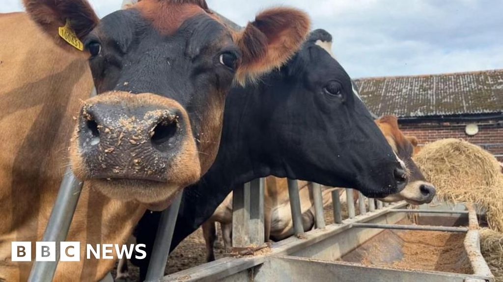 Bluetongue rules 'devastating', warn opposition politicians