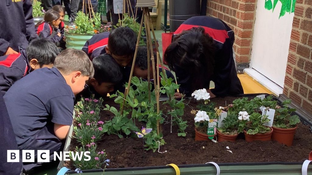 Luton school rooftop is a 'powerful educational tool'