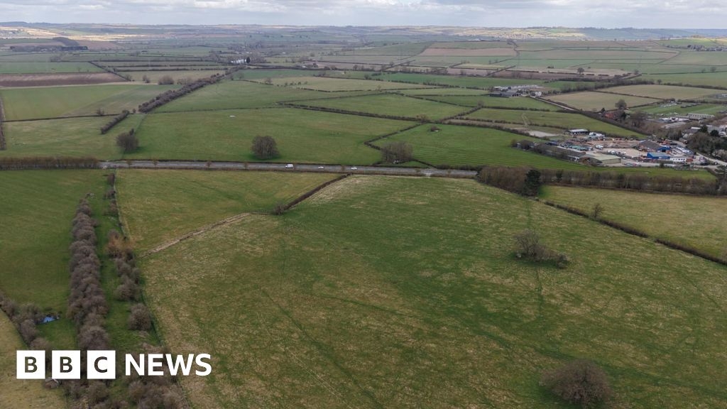Major rewilding planned with land purchase near Market Harborough