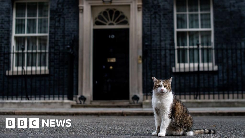 Cats ruled out as Parliamentary pest controllers