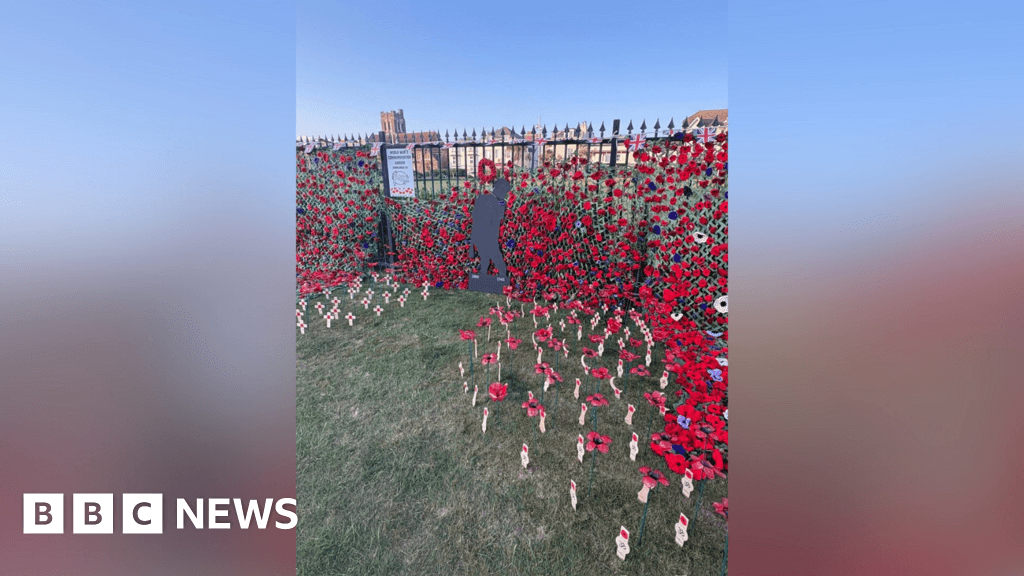 WW2 anniversary marked by poppy display at Bognor Regis pier