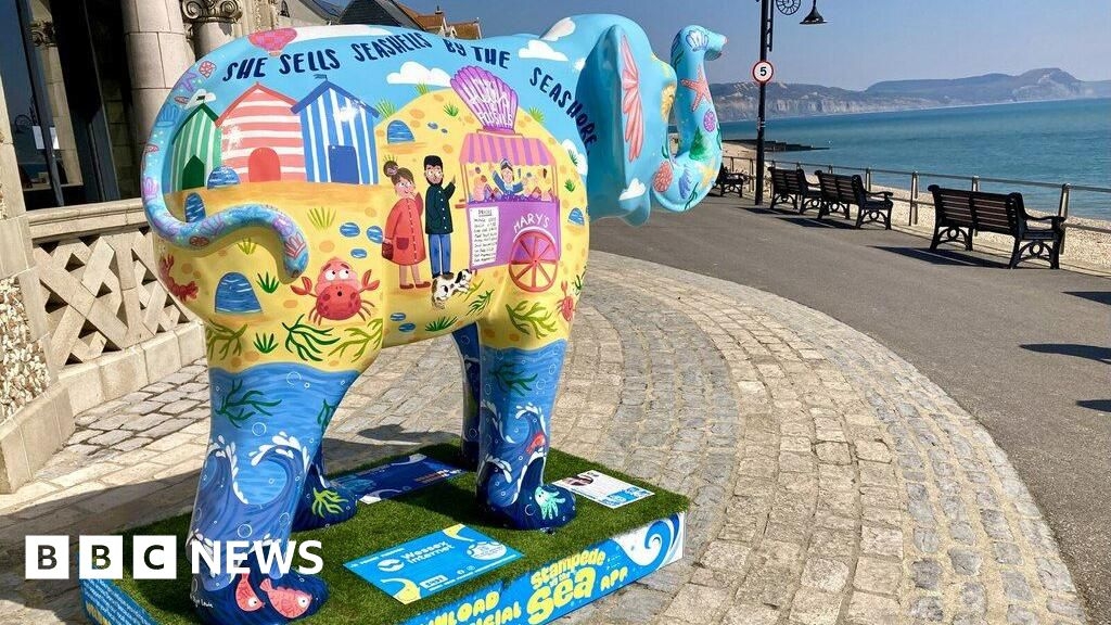 Mermaid tails and elephants auctioned by charities after trails