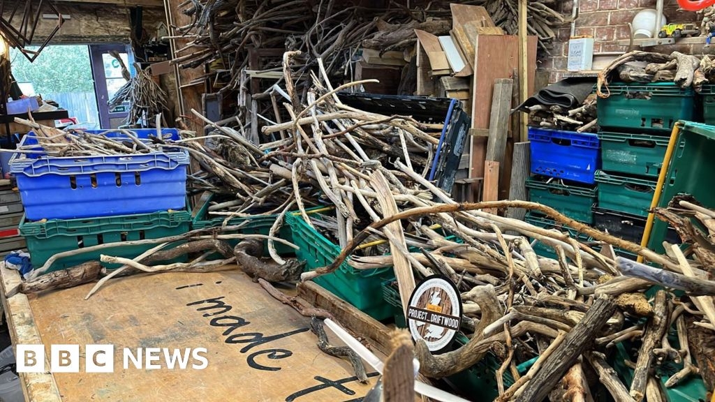 Somerset: The artist combing beaches after storms