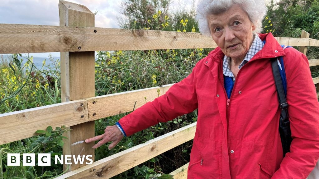 St Mawes artist wins her battle to lower fence obscuring view