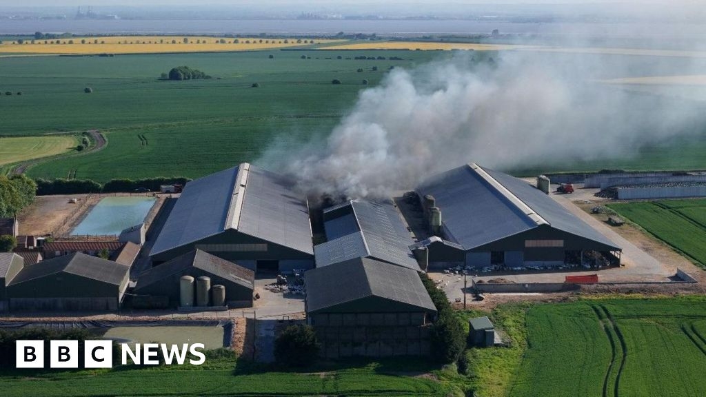 Cause of fire that killed goats in Ottringham barn established