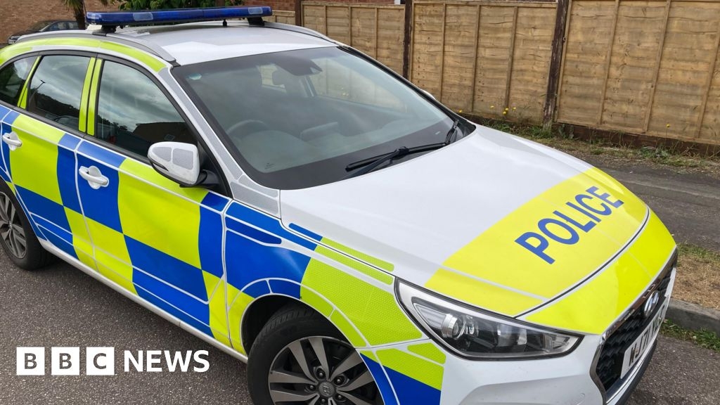 Two arrests after gunshots fired at Birmingham property