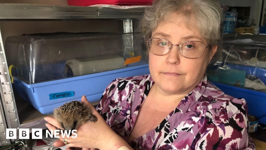 Tributes pour in for Chatteris hedgehog charity founder