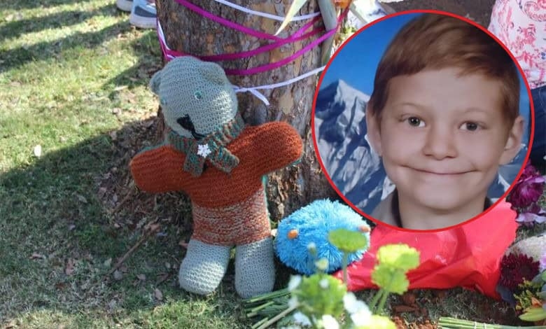 Call for calm as 12-year-old appears in court after fatal Brakpan crash
