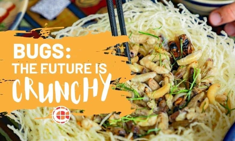 Watch: From creepy-crawly to culinary cool – insects hit the menu