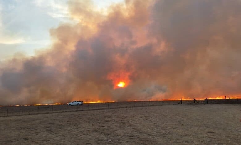 Fochville-inwoner sterf in veldbrand