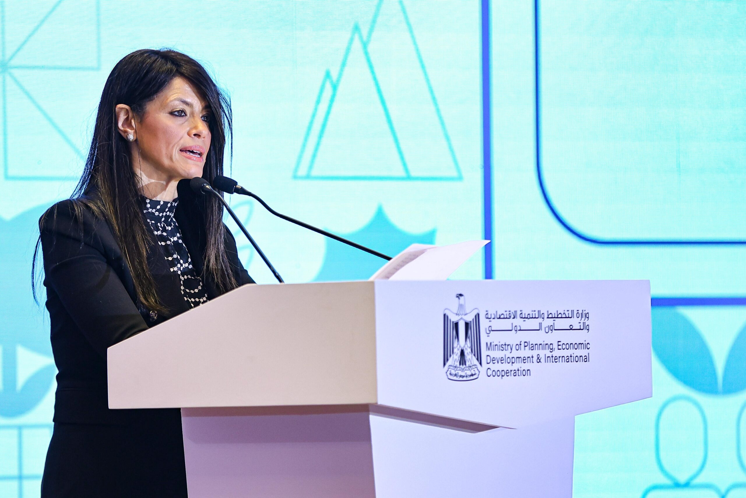 Egypt secures $15.6bn in concessional financing for private sector since 2020: El-Mashat