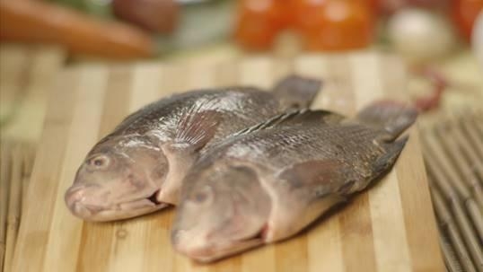 Kapampangan dish, burong isda, study reveals probiotics, anti-fungal properties